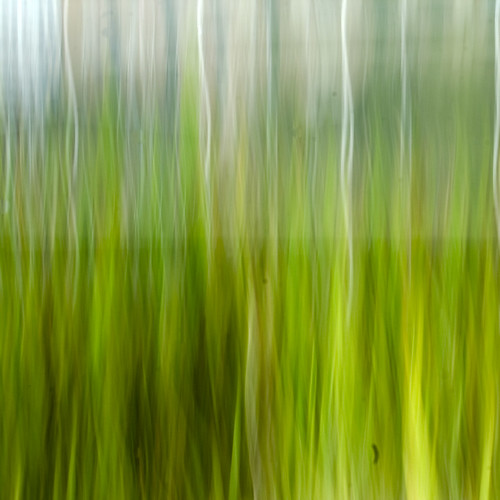 park abstract green canon j movement texas tx houston impression repost reposted reprocessed discoverygreen