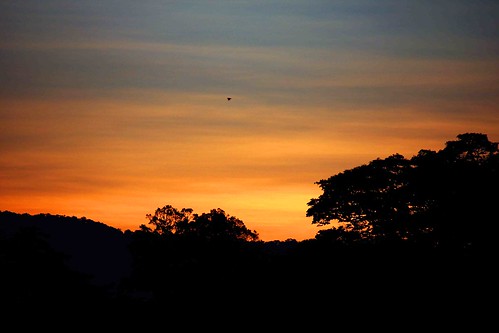 new sunset cloud west birds clouds indonesia guinea dusk papua nouvelle jaya barat westpapua keerom guinee maghrib irian kabupaten senggi tekai usku thatsclassy