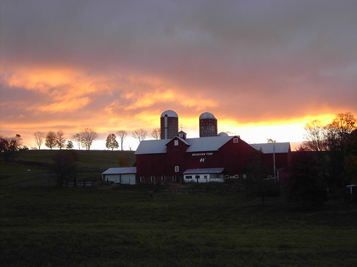 morning sunrise dawn farm brookviewfarm
