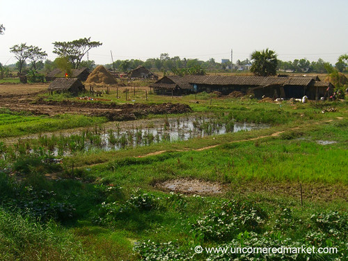 rural train village yangon burma myanmar rangoon dpn