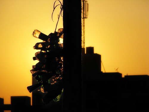 street sunset sun india silhouette bangalore streetphotography plastic planet environment concerned disgrace socialissues socialissue indianphotography theperfectphotographer worstinvention concernedaboutenvironment donotuseplastic daarklands rmv2ndstage rajmahalvilas