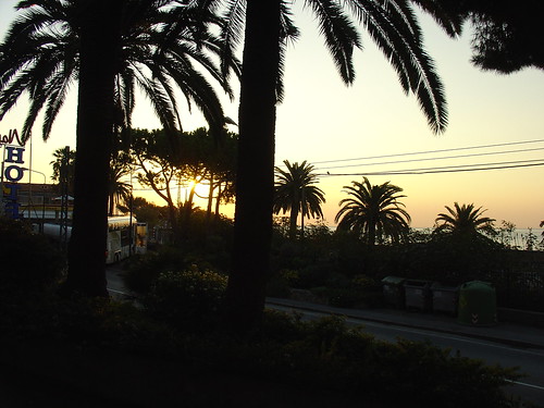 italy sunrise coast scenic palmtree sanremo staplestonaples2006
