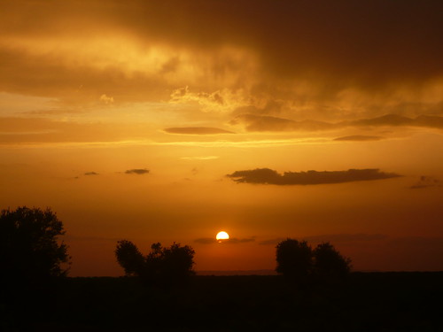 sunset puestadesol olivas olivos anochecer panasoniclumixdmcfx12 hortolano
