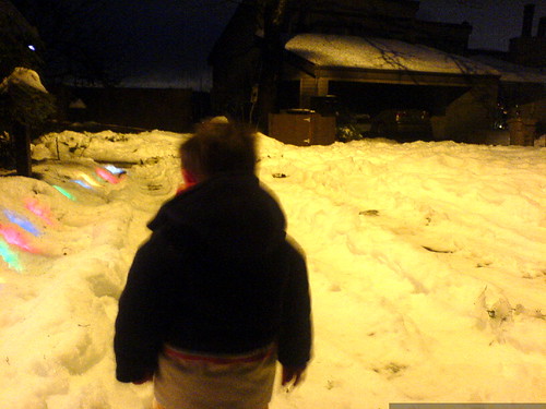 sequoia surveying the submerged xmas lights and the snowed in cul de sac   DSC02271