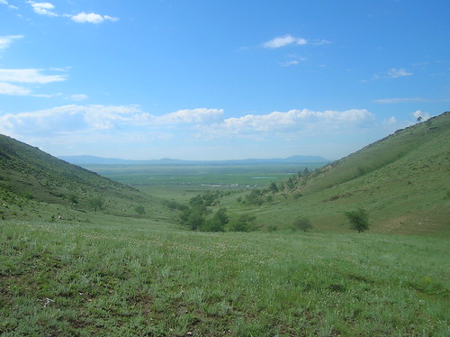 countryside mongolia 2008minicards sukhbaatarselenge