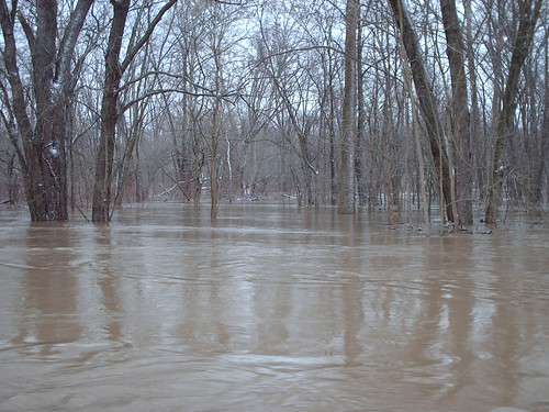 ohio lake home yard creek mar flood 5 sandy malvern 2008