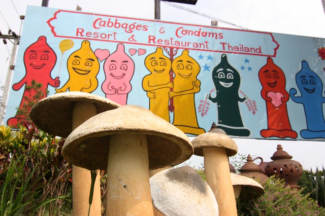 Cabbages and Condoms, Chiang Mai
