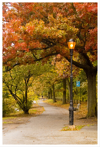 park new york city light red portrait lake newyork tree green fall lamp yellow island oak post wind path cement bark winding 2008 staten clove