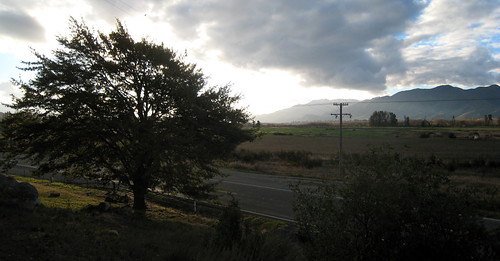 newzealand field daylight takiroa
