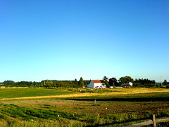 luscher farm on an evening run   DSC01555 