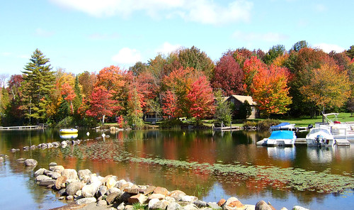 autumn house lake tree industry colors leaves landscape boat leaf fuji bright maine scene foliage f30 fujifilm scenics clearwater