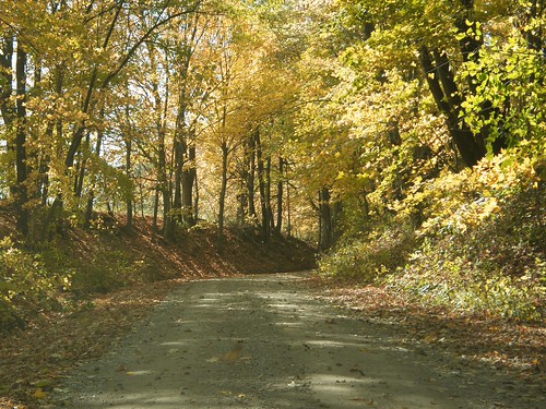 road autumn trees fall geotagged indiana olympus kramer mudlavia warrencounty sp550uz mudlaviasprings