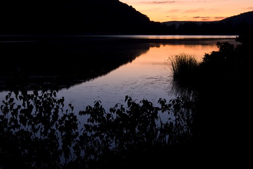 statepark park blue sunset red orange lake ny newyork water reeds purple state allegheny sillohuette