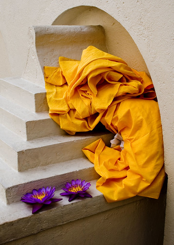 stilllife flower colour canon lotus robe buddhist form srilanka saffron goldentooth