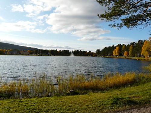 autumn lake europe sweden arvidsjaur nyborgstjärn