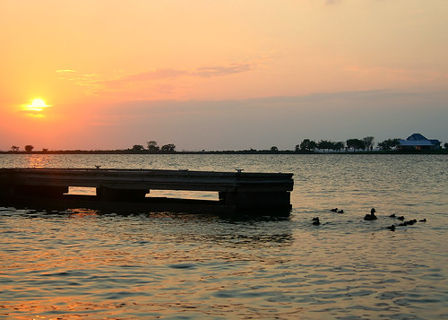 sunset lake water dock ducks lakelivingston
