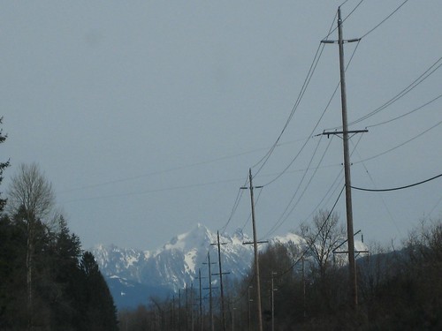 power lines, mountains, snow, trees, washington IMG_1121