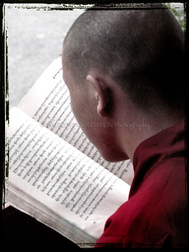 red portrait people india man temple book buddhist religion monk buddhism silence varanasi tibetan spiritual shanti sarnath benaras uttarpradesh भारत indiasong
