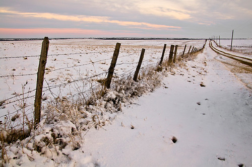 road sky snow field sunrise fence geotagged march texas unitedstates celina snowstorm mustang 200803 geo:lat=3329626400 geo:lon=9686421100