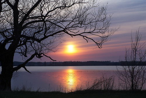 sunset sun tree water colors silhouette finland scenery fuji outdoor shapes m42 fujinon tuusula fujinon50mmf14 tuusulanjärvi