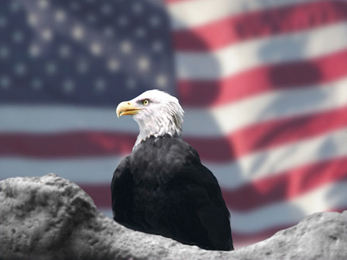 Eagle and American Flag by Bubbels