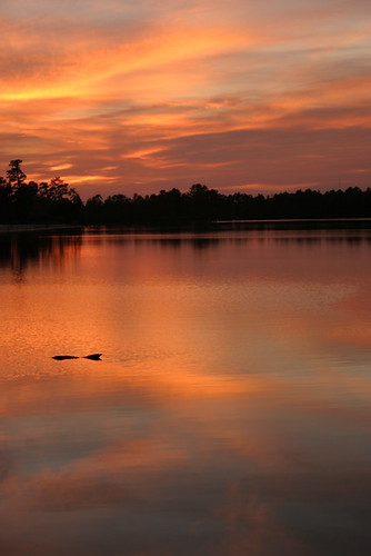 sunset lake outdoor nj rss2 atsion