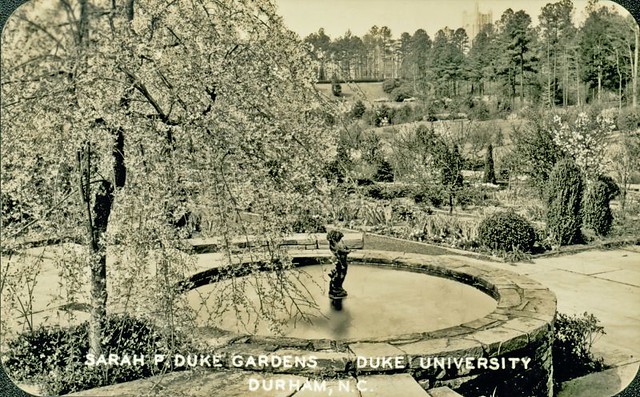 Sarah P Duke Gardens No Date Repository Duke University Flickr