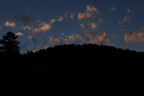sunset night forest montana dusk national gallatin