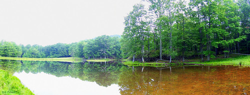lake reflection tree water landscape pond woods scenery panoramic wv westvirginia woodrow pocahontascounty rcvernors