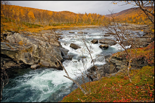 trees water forest rocks cloudy sweden stones cliffs rapids wilderness fell fors ammarnäs sorsele vindelälven rävfallet västerbottenslän