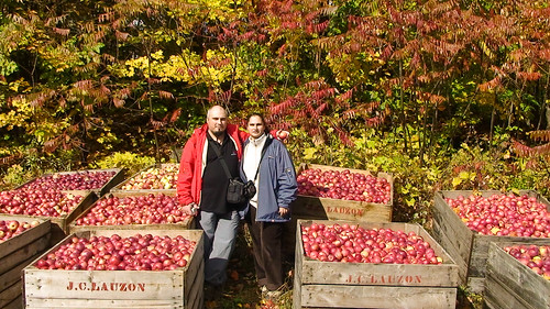 city trip travel family autumn trees friends light red portrait people urban orange brown holiday canada color colour men green fall me nature colors grass animals yellow closeup america canon garden fun outdoors photography photo flora day seasons photos farm montreal north group colorphotography visualarts nobody orchard foliage northamerica males environment daytime imaging females agriculture multicolored 2008 mammals naturalworld mincho appleorchard visualartists closeupview commercialartandgraphicdesign colorimaging albena minchokrastev applegarden