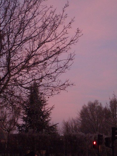morning pink sky tree frozen spain purple olympus salamanca silhoutte newyearsday castillayleón