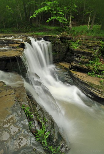 nature creek waterfall spring stream falls twinfalls brook watkinsglen glencreek westernnewyorkstate