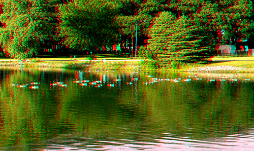 lake reflection tree geese stereoscopic stereophoto 3d wildlife anaglyph anaglyphs redcyan 3dimages 3dphoto 3dphotos 3dpictures stereopicture