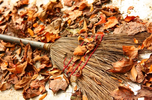 autumn brown leaves broom canonef24105mmf4lisusm
