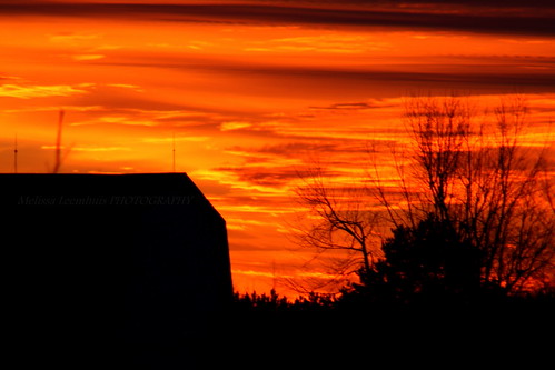 winter sunset shadow sky orange sun