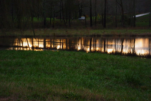 lake moss sunsets