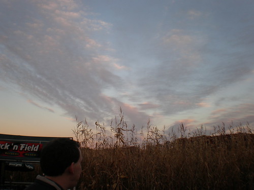 sunset sky clouds corn pretty maze sterling davis