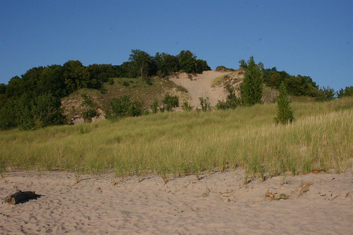 statepark usa beach grass mi sand unitedstates michigan dune northamerica grandmere