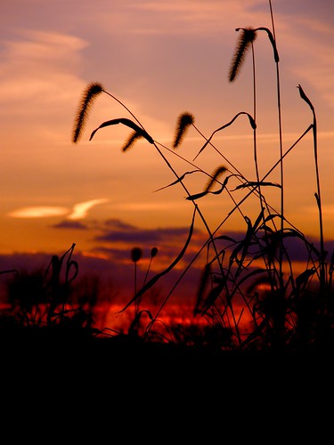 silhouette rural sunrise indiana beginnerdigitalphotographychallengewinner