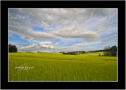 uk green grass clouds project studio photography james scotland photo day view aberdeenshire photograph kelly durno