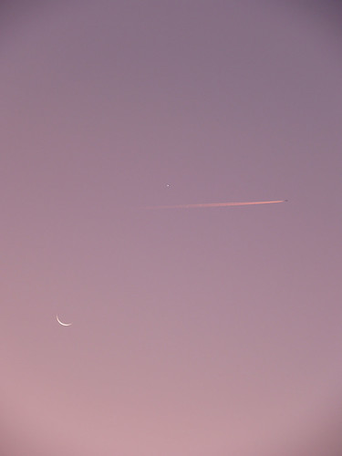 pink sky italy moon plane sunrise italia tuscany toscana leporino fingernailmoon