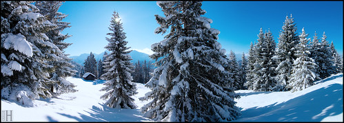 trees winter panorama snow landscape austria österreich waltz vorarlberg laterns infinestyle pprowinner