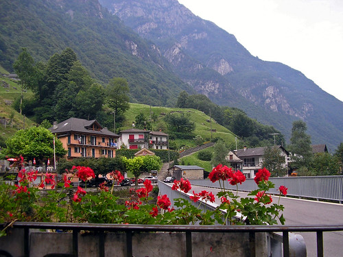 bridge mountain holiday flower switzerland ticino valleverzasca lavertezzo