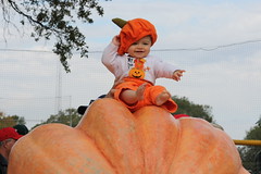 Cute child halloween, The Great Pumpkin