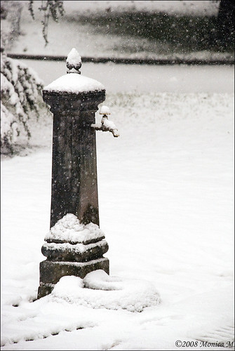 winter parco white snow cold ice nikon neve inverno fontana bianco freddo fontanella nevicata forlì giardinipubblici d80 monicamongelli