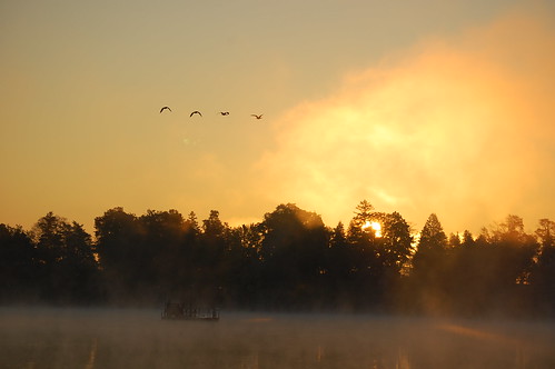 morning sky mist ontario sunrise fire geese peterborough