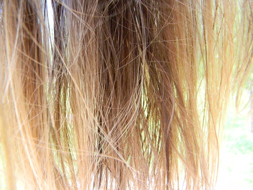 hair nikon nikoncoolpix project365 antigravityaddiction katchorman nikoncoolpixl110
