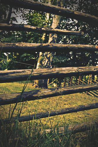 wood tree fence forrest sweden halland falkenberg vallarna