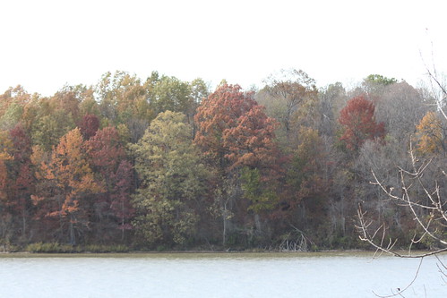 blue autumn trees ohio red sky white green fall water clouds gold senecalake xsi sigma70300mmf456dgapomacrotelephotozoomlens